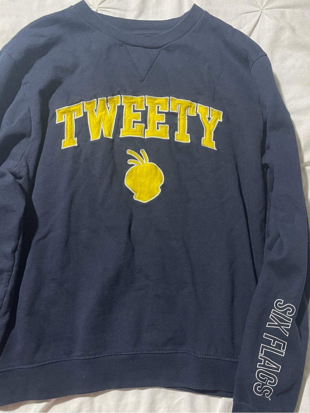 Warner Bros. Navy Crewneck Sweatshirt with Yellow Appliqué